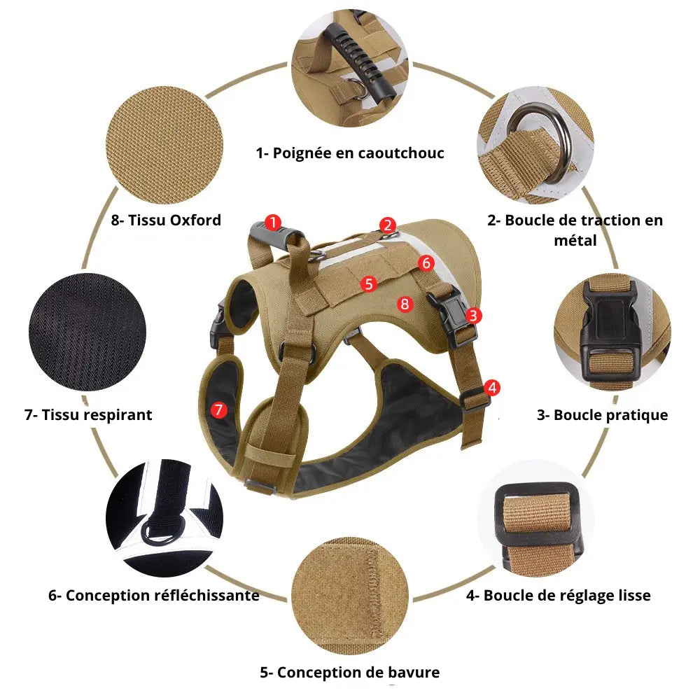 Description-harnais-anti-traction-robuste