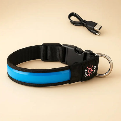 Collier-lumineux-pour-chien-bleu-1