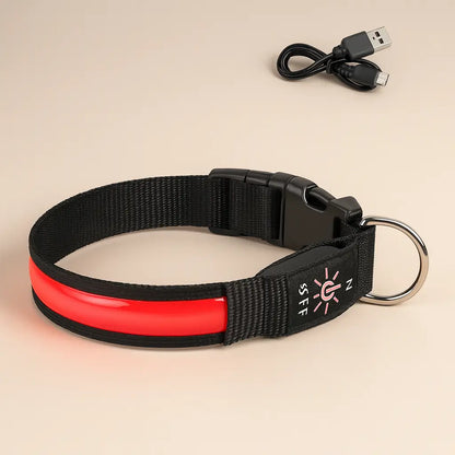 Collier-lumineux-pour-chien-rouge