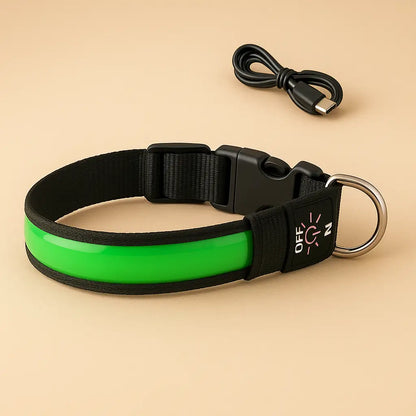 Collier-lumineux-pour-chien-vert