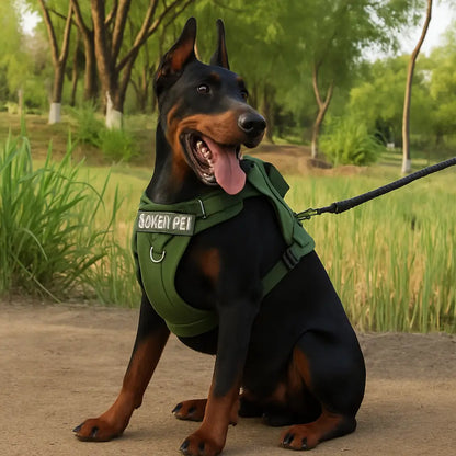 Harnais-anti-traction-robuste-laisse-vert