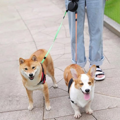 Laisse-double-chiens-cordons-orange-et-vert