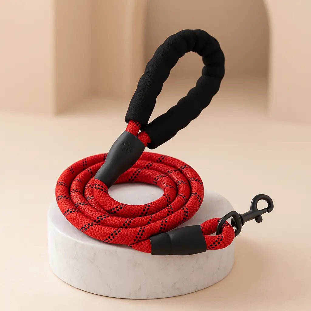 Laisse-pour-chien-robuste-rouge-1