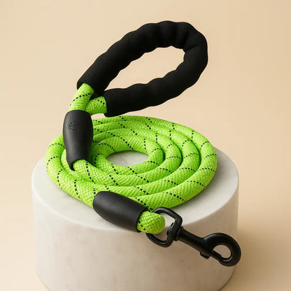 Laisse-pour-chien-robuste-vert-1