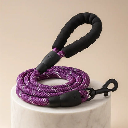 Laisse-pour-chien-robuste-violet