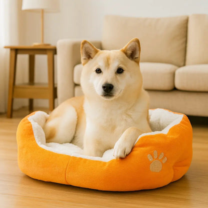 panier-pour-chien-douxdream-orange