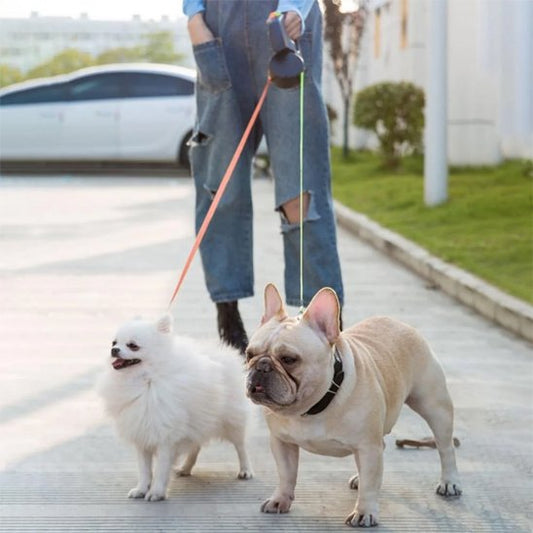 Promenade-deux-chien-laisse-enrouleur