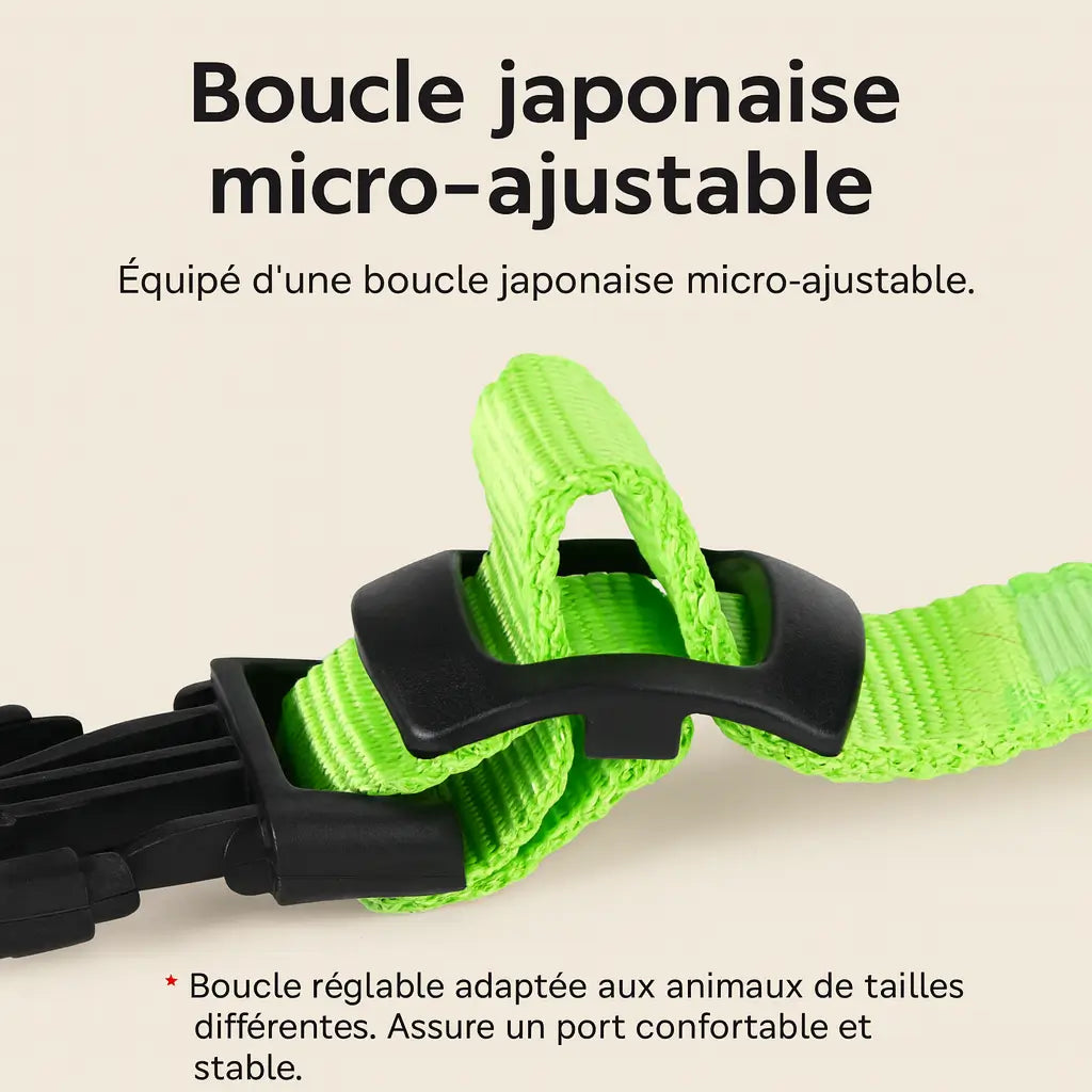 collier-lumineux-chien-led-demo-1