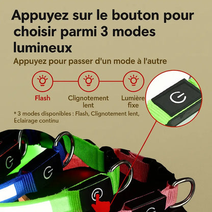 collier-lumineux-chien-led-demo